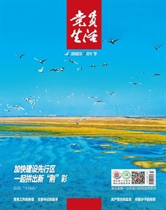 党员生活·下