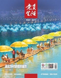 党员生活·下