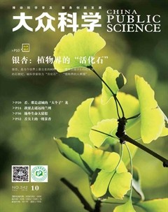 2018年第10期