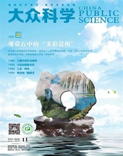 2018年第11期