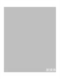 电子企业