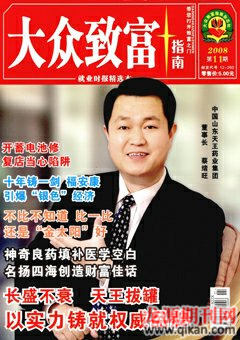 2008年第11期