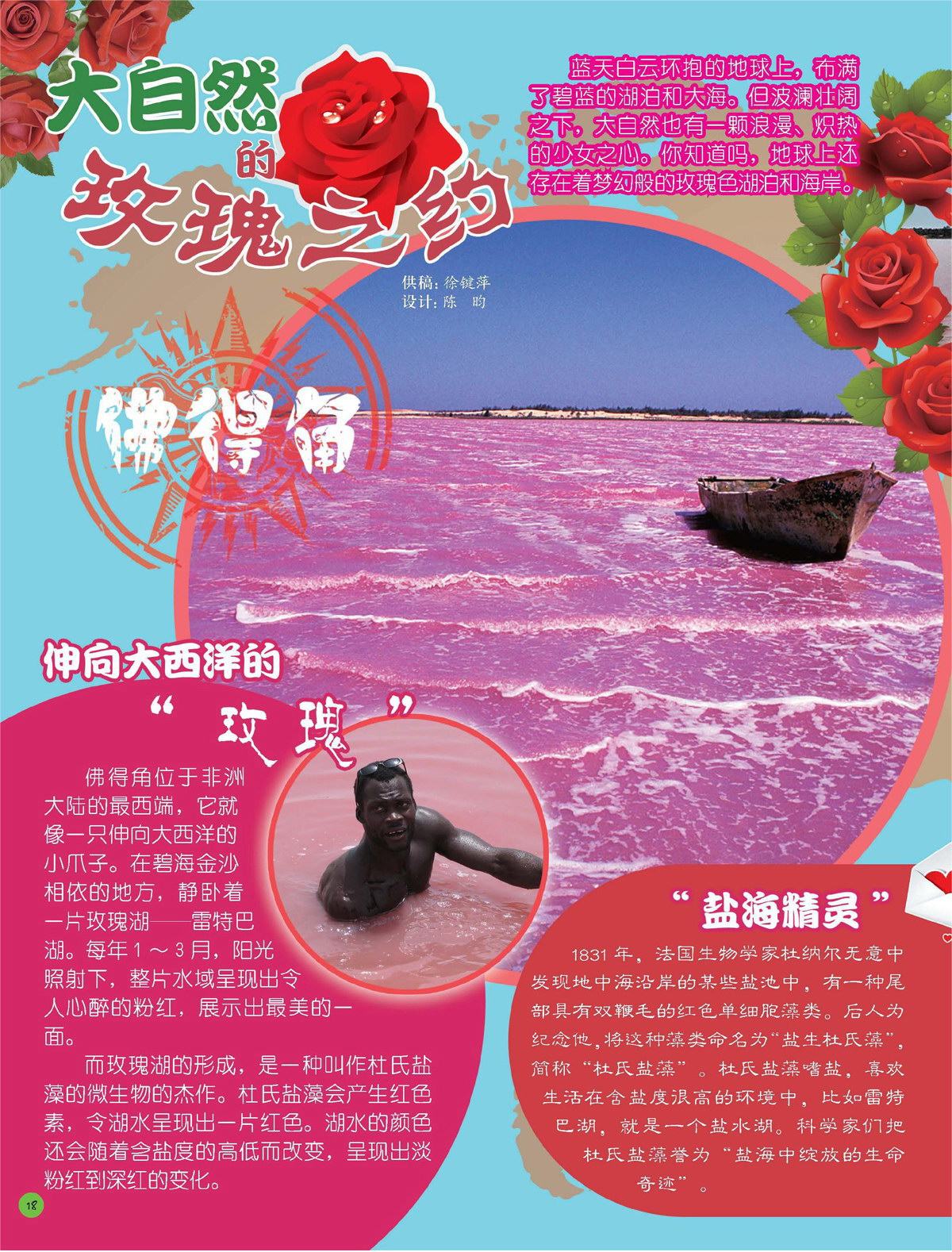 大自然的玫瑰之约