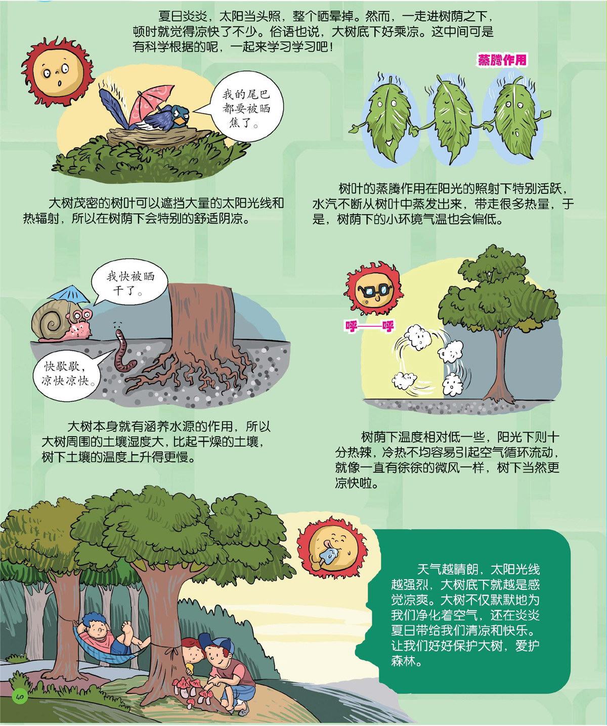 为什么大树底下好乘凉?