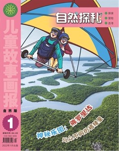 儿童故事画报·自然探秘