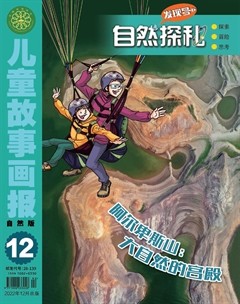 兒童故事畫報(bào)·自然探秘