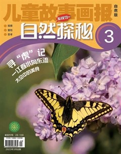 兒童故事畫報(bào)·自然探秘