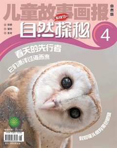 兒童故事畫報(bào)·自然探秘