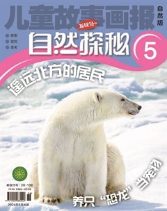 儿童故事画报·自然探秘
