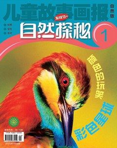 兒童故事畫(huà)報(bào)·自然探秘