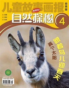 兒童故事畫報(bào)·自然探秘