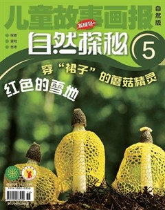 儿童故事画报·自然探秘