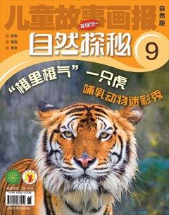 儿童故事画报·自然探秘