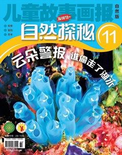 儿童故事画报·自然探秘