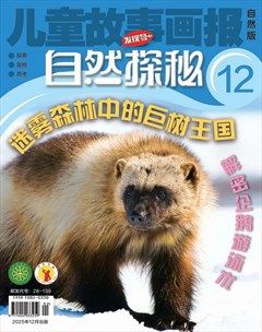 儿童故事画报·自然探秘