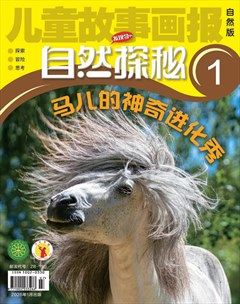 儿童故事画报·自然探秘