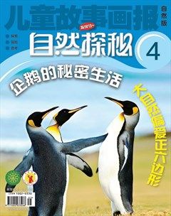 儿童故事画报·自然探秘