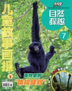 儿童故事画报·自然探秘