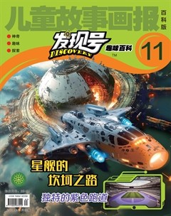 儿童故事画报·发现号趣味百科