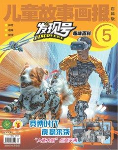 儿童故事画报·发现号趣味百科