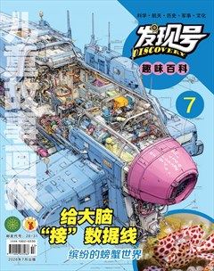 儿童故事画报·发现号趣味百科