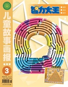 儿童故事画报·智力大王