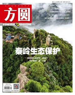 方圆