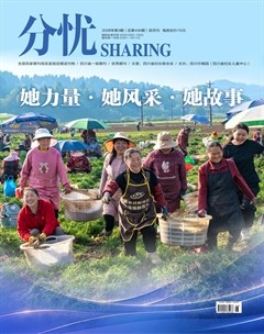 分忧