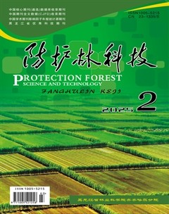 防护林科技
