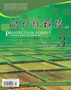 防护林科技