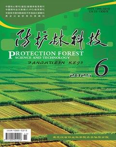 防护林科技
