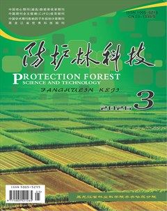 防护林科技