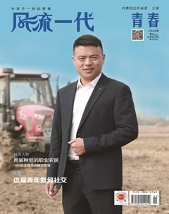 风流一代·青春