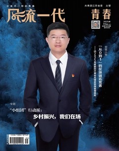 风流一代·青春