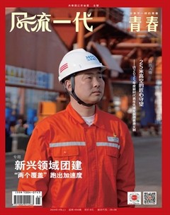 风流一代·青春