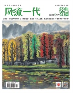风流一代·经典文摘