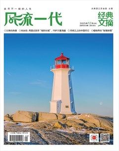 风流一代·经典文摘