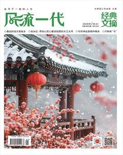 风流一代·经典文摘