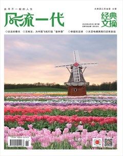 风流一代·经典文摘