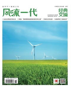 风流一代·经典文摘