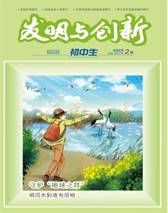 发明与创新(上旬刊)