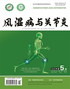 风湿病与关节炎