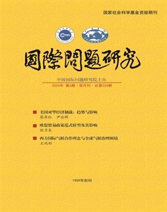 国际问题研究