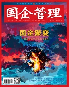国企管理