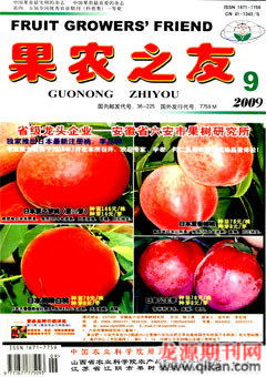 2009年第9期