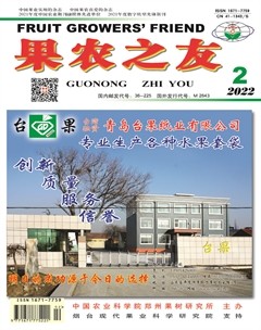 果农之友