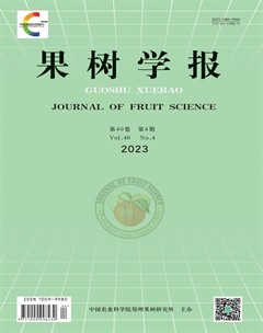 2023年第4期