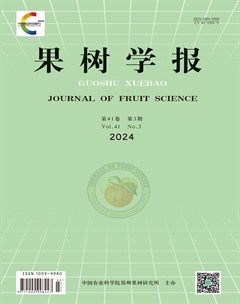 果树学报