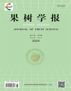 果树学报