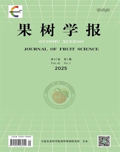 果树学报
